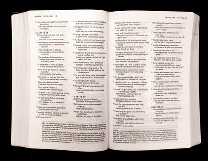 Tyndale NLT Life Recovery Bible, Second Edition, Personal Size (LeatherLike, Black/Onyx)