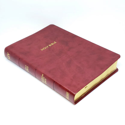 Holman KJV Rainbow Study Bible, LeatherTouch