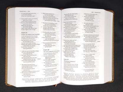 Thomas Nelson NKJV Deluxe Compact Large Print Reference Bible, Mahogany Leathersoft